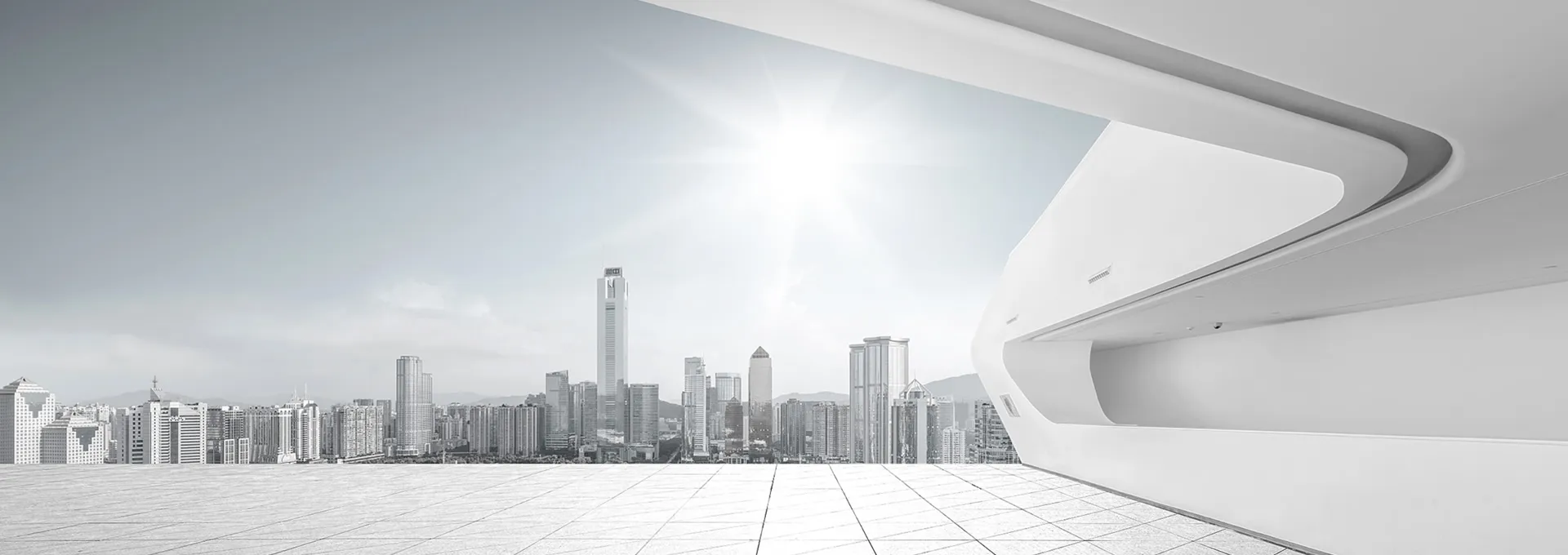 Reputable supplier with a strong commitment to integrity