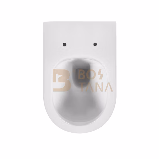 Popular Design Sanitaryware Ceramic Wall